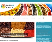 Le nouveau site du GIE Synergie Achats